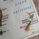 MDI school map: SOUTH AMERICA - OCEANIA fauna vegetation.