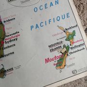 MDI school map: SOUTH AMERICA - OCEANIA fauna vegetation.