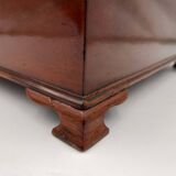 Large Victorian Box in Mahogany & Oak, England, 1840s