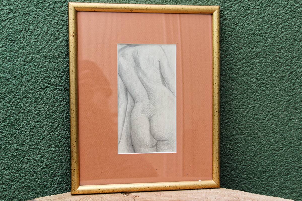 Pencil drawing, female nude