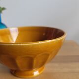 Mustard opaque porcelain bowl