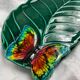 Plat papillon Vallauris