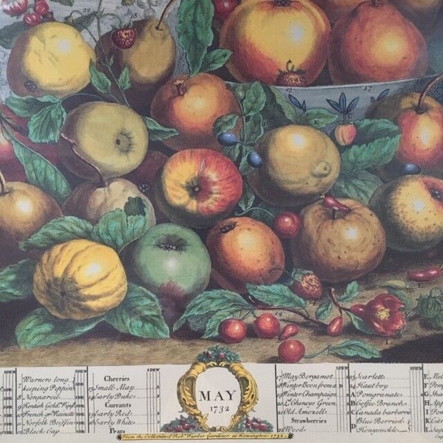 Old English botanical board in May