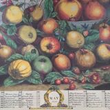 Old English botanical board in May