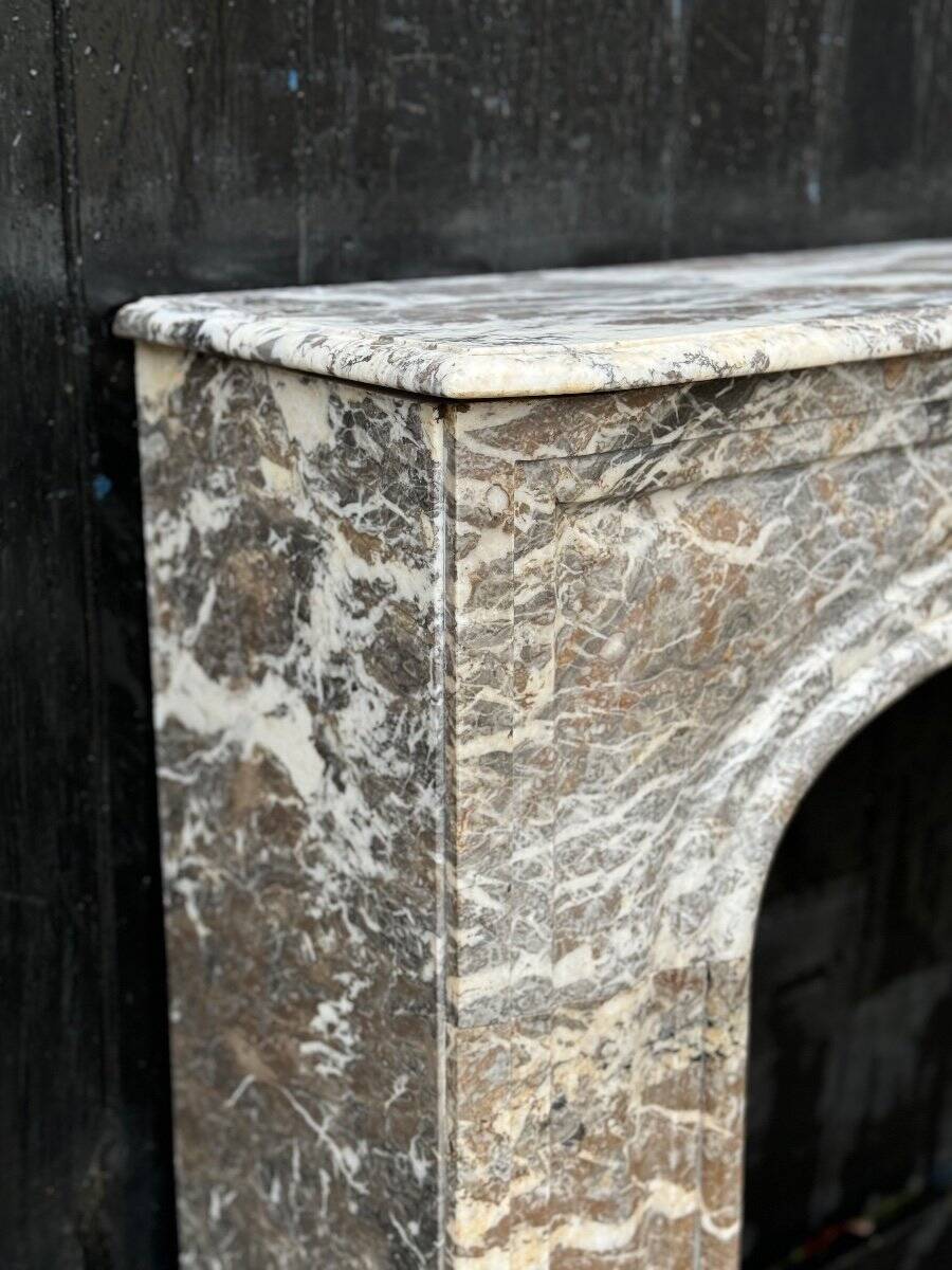 Regency Fireplace in Grey Ardennes Marble, 18th Century
