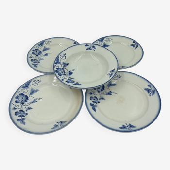 Set of 5 plates Blue flower décor