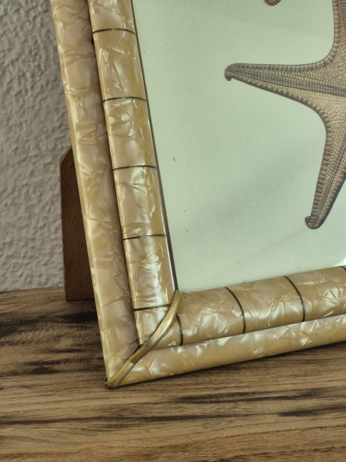 Vintage illustration