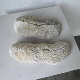 Pair of Fungia "shark cushion" corals