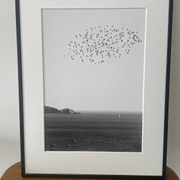 The flight