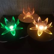 Lampe de nuit fleur de lotus nénuphar vert, Europe de l'Est
