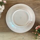 Set of 10 Longwy flat plates