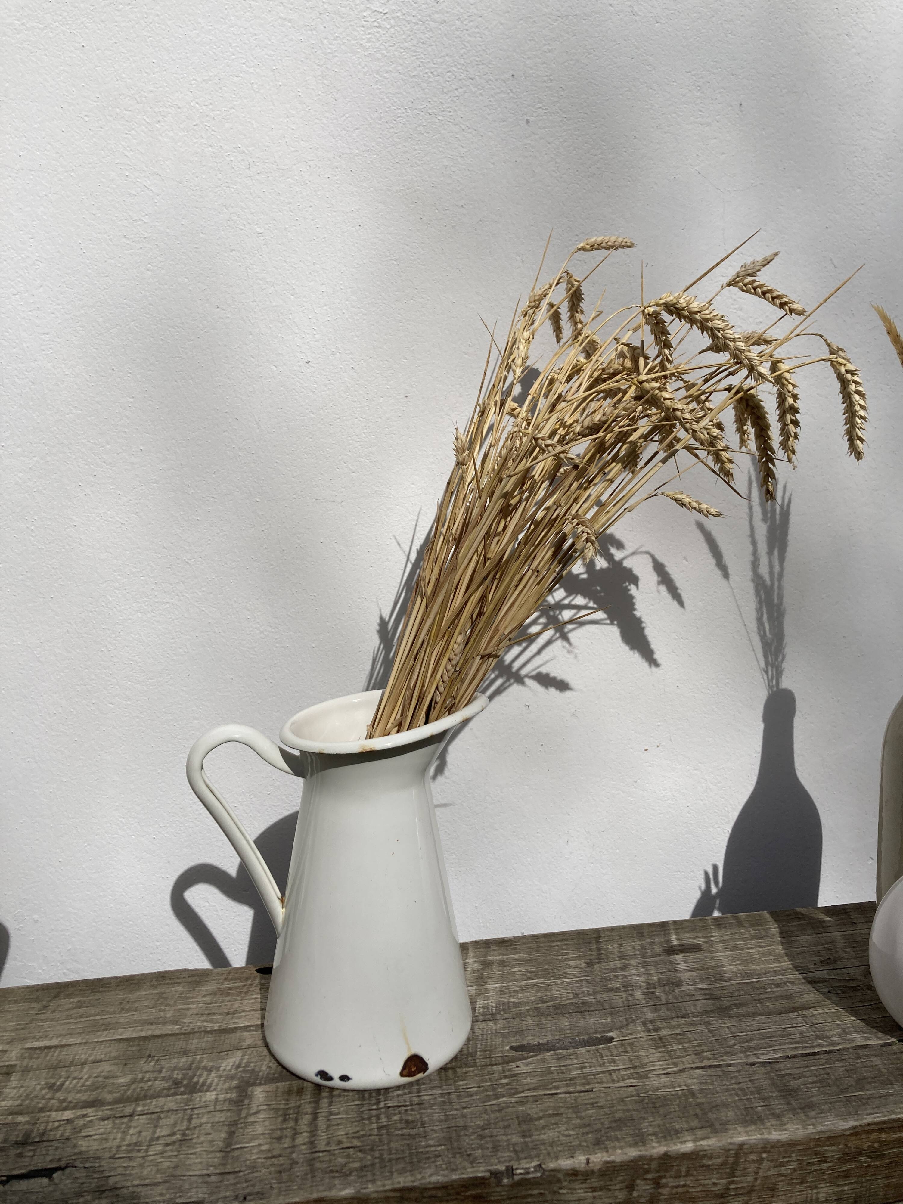 Old white enamelled metal pitcher