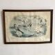 Large framed antique zoological engraving "The Washerwoman"