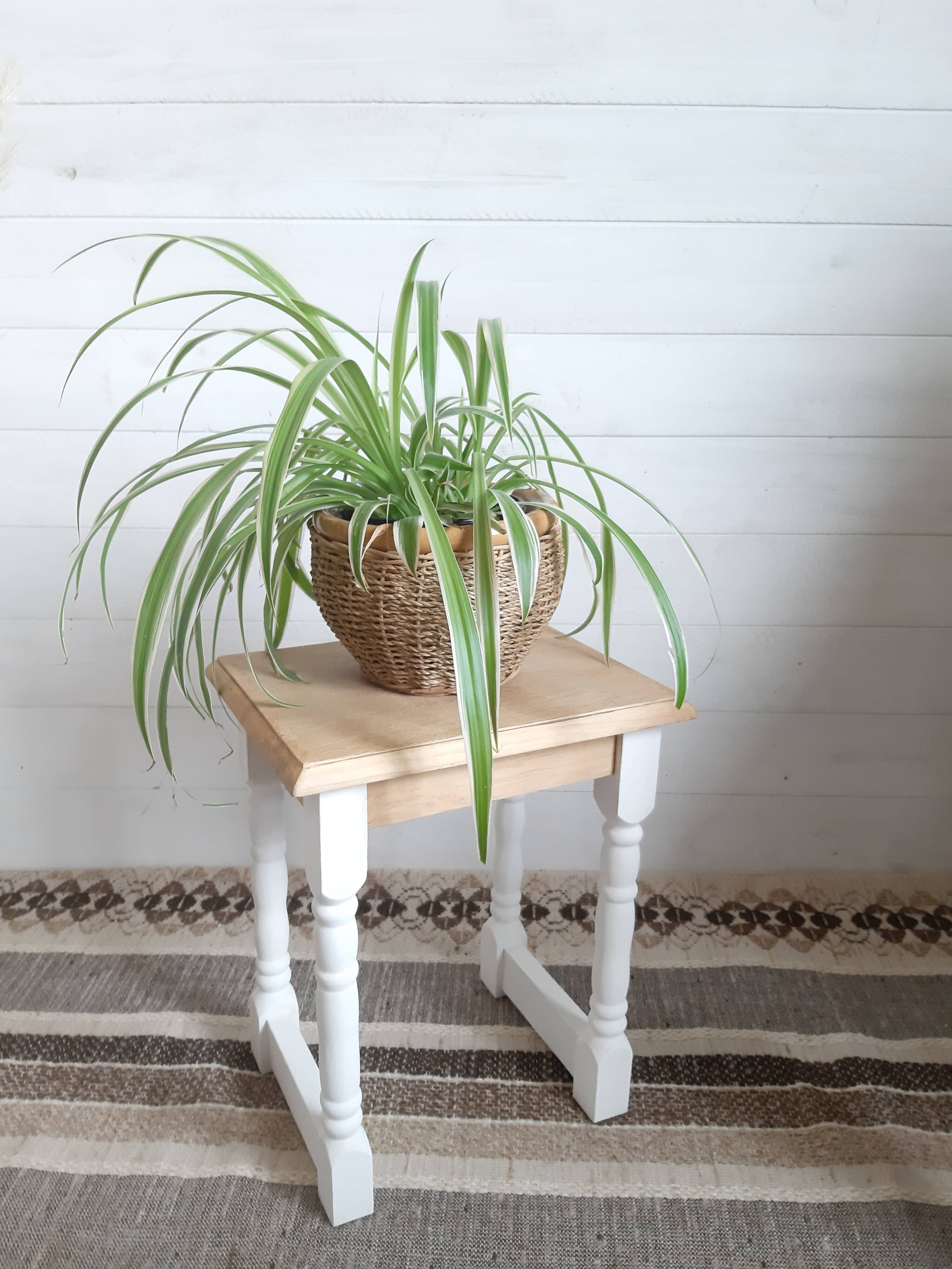 Stool  side table  plant door