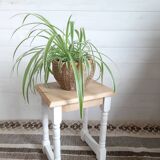 Stool  side table  plant door