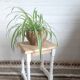 Stool  side table  plant door