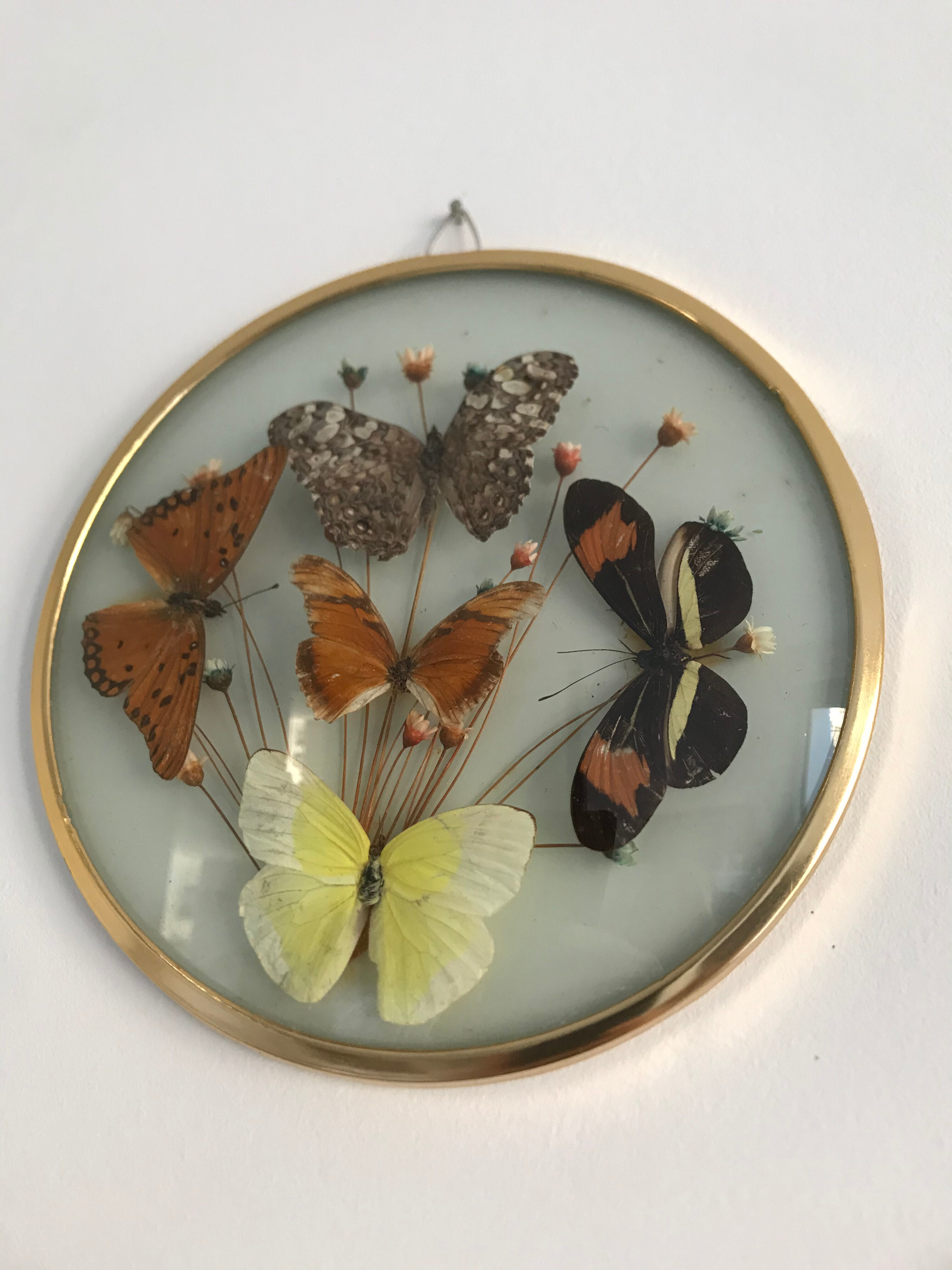 Vintage butterfly frame