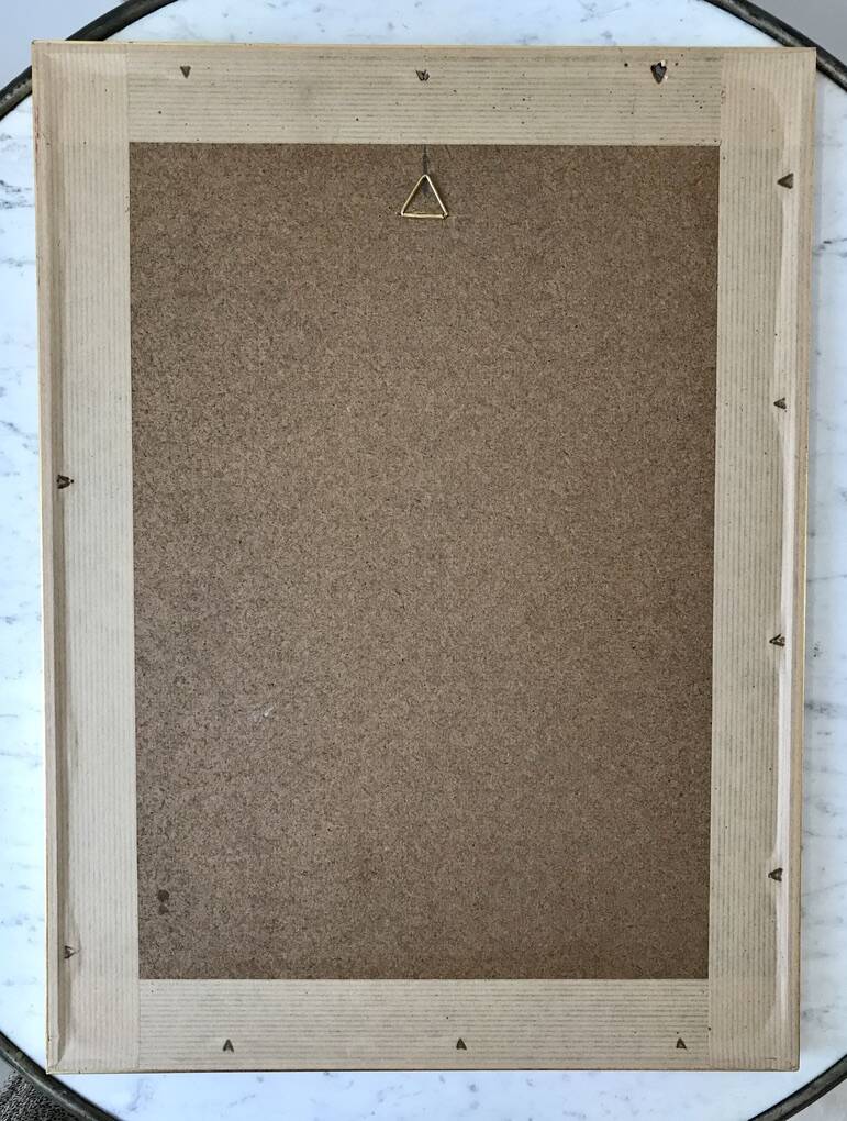 Lithograph pj reddreaded rosa indica cruenta framed 50s