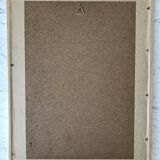 Lithograph pj reddreaded rosa indica cruenta framed 50s