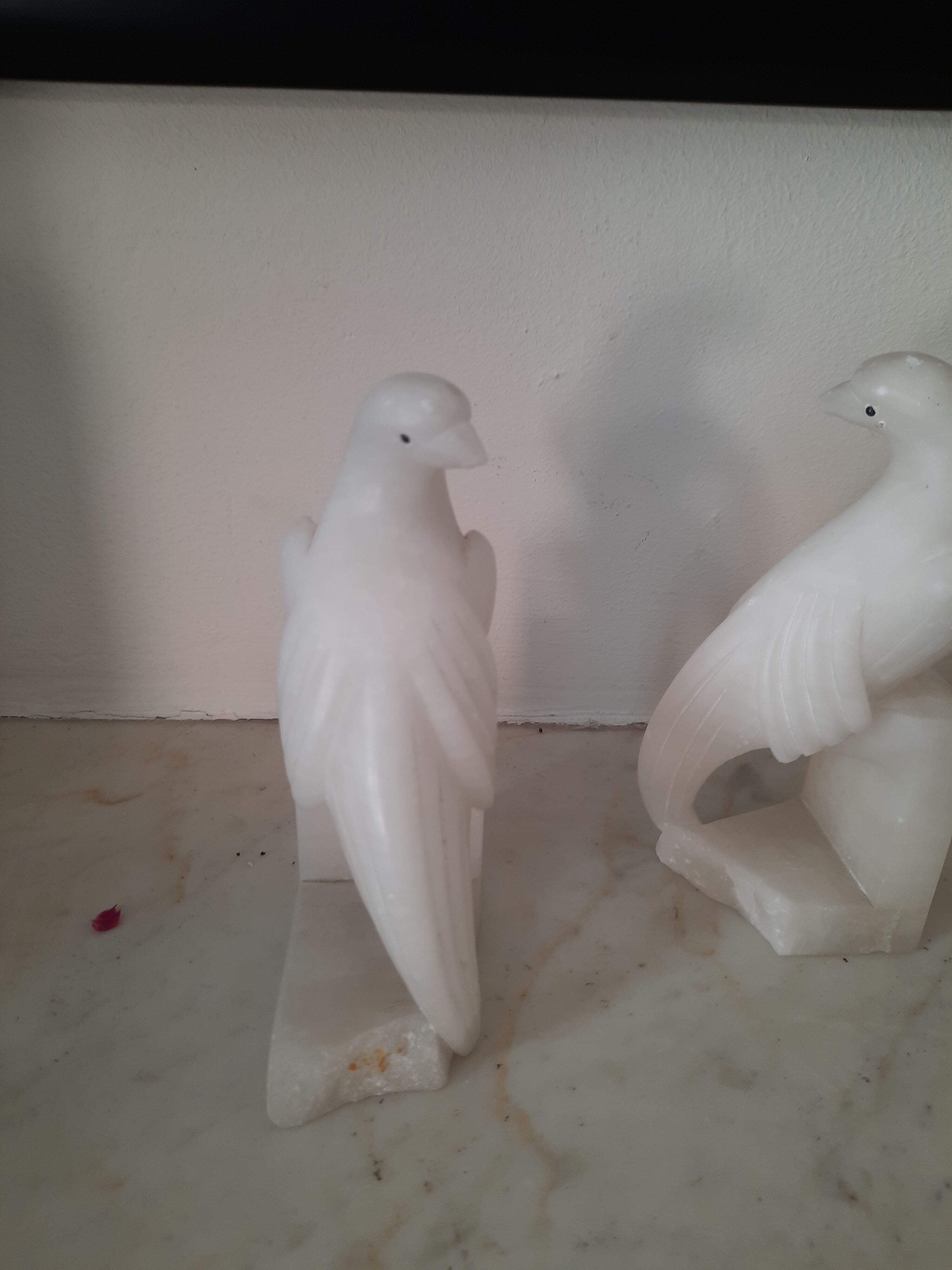 Pair of greenhouses books in albatre