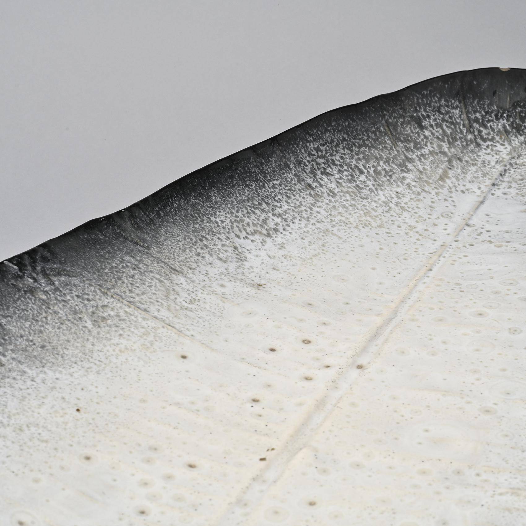 Large ceramic dish by Pol Chambost, France 1955