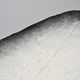 Large ceramic dish by Pol Chambost, France 1955