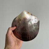 Mother-of-pearl pocket emptier