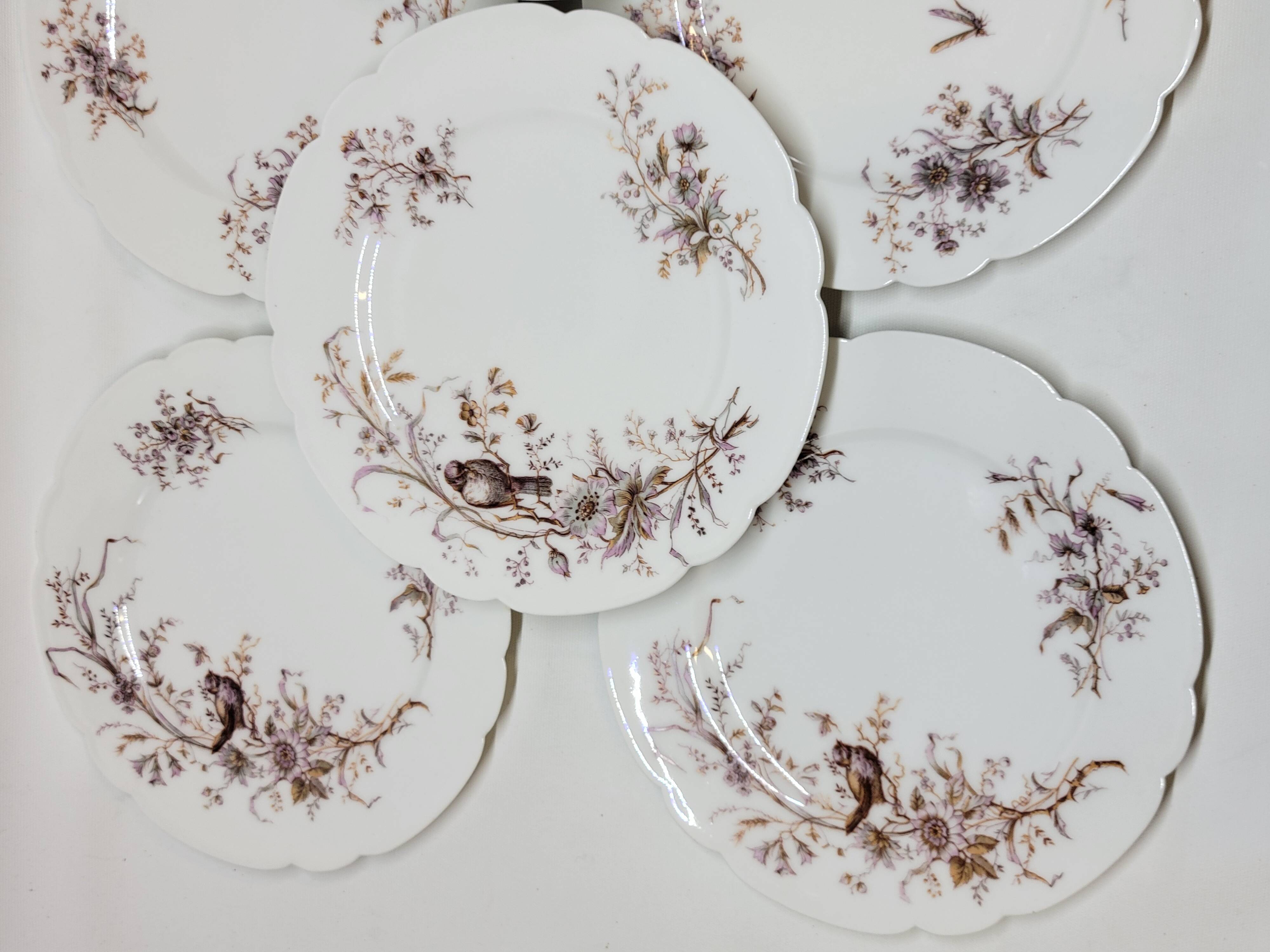 8 Superb Antique 19th Century Plates Decorated with Birds on Branches