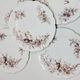 8 Superb Antique 19th Century Plates Decorated with Birds on Branches