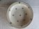 Selling large serving dish.