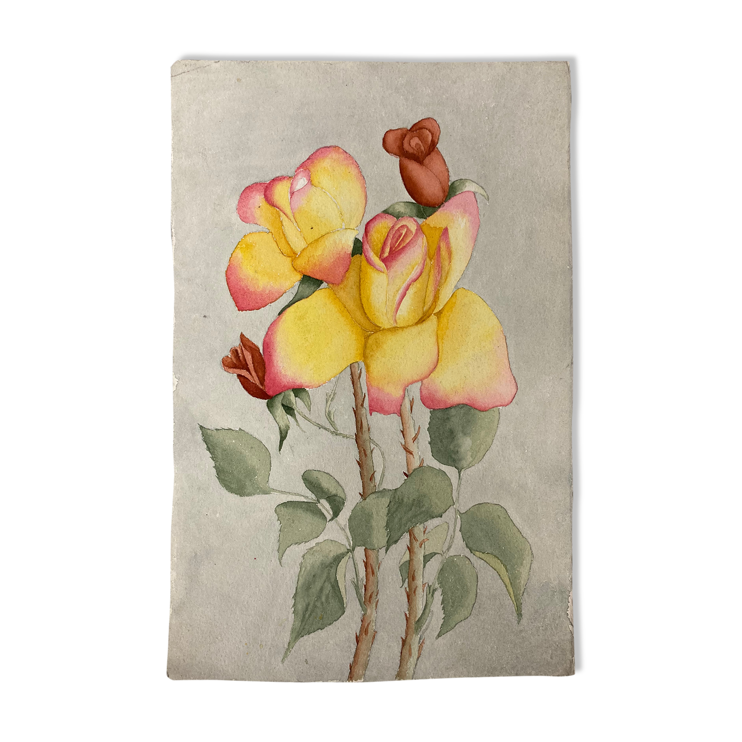 Watercolor with vintage roses