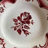 Pink plates iron earth amandinoise