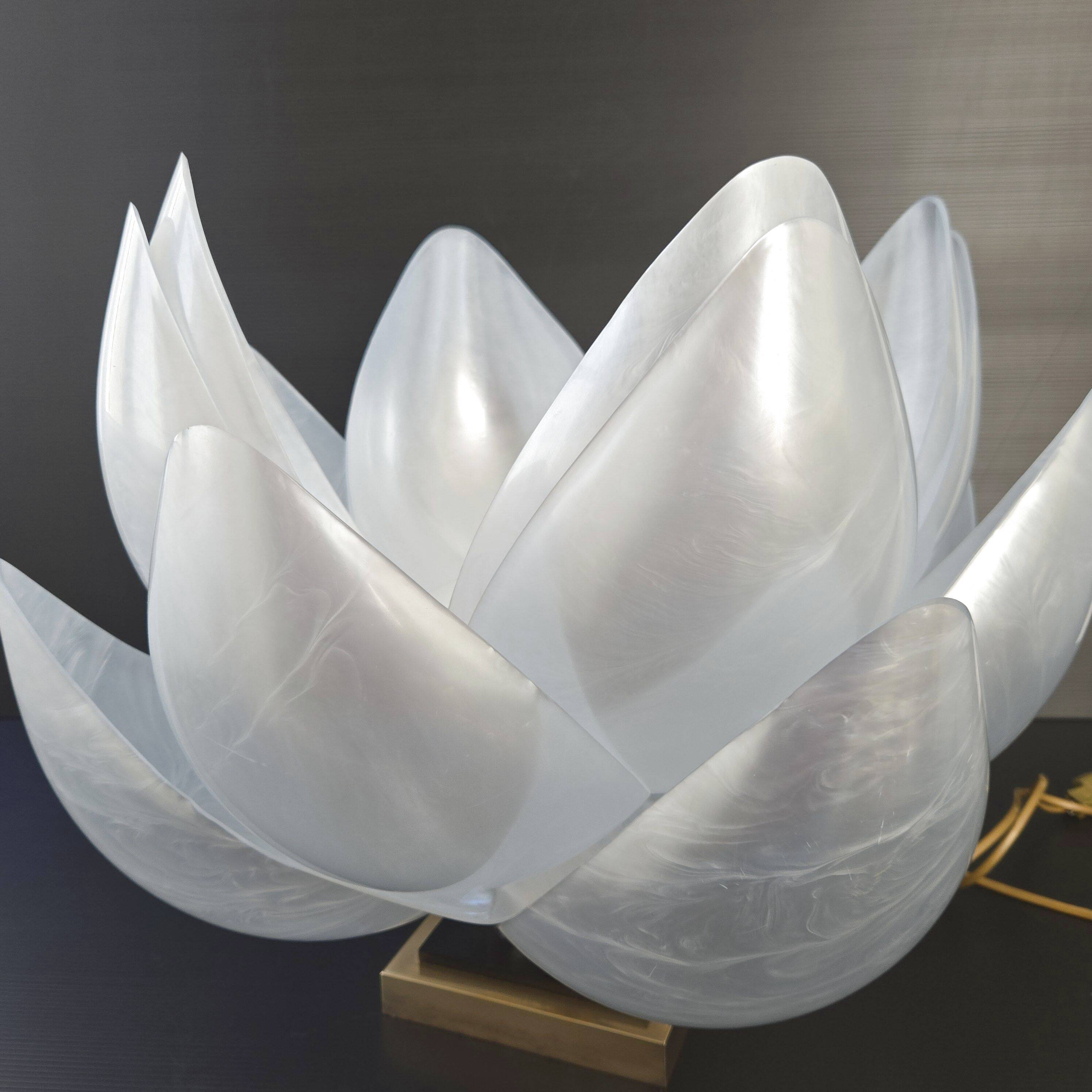 Vintage Rougier lamp 1970