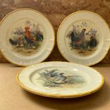 Set of 3 Old Ceramic Plates Decor H. ARNDT Rooster Hen & Duck #B188