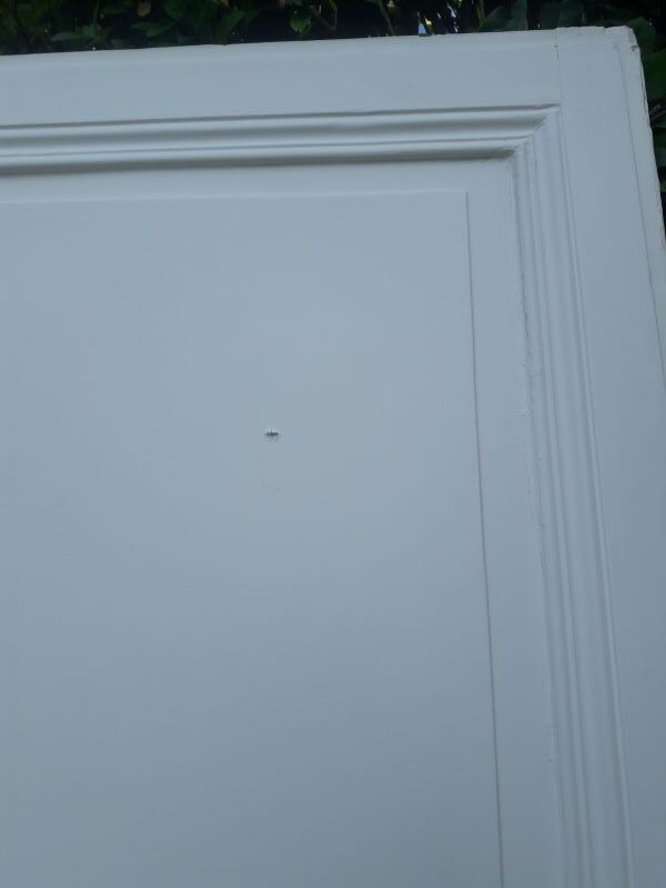 Door 209,5x76 Haussmannian