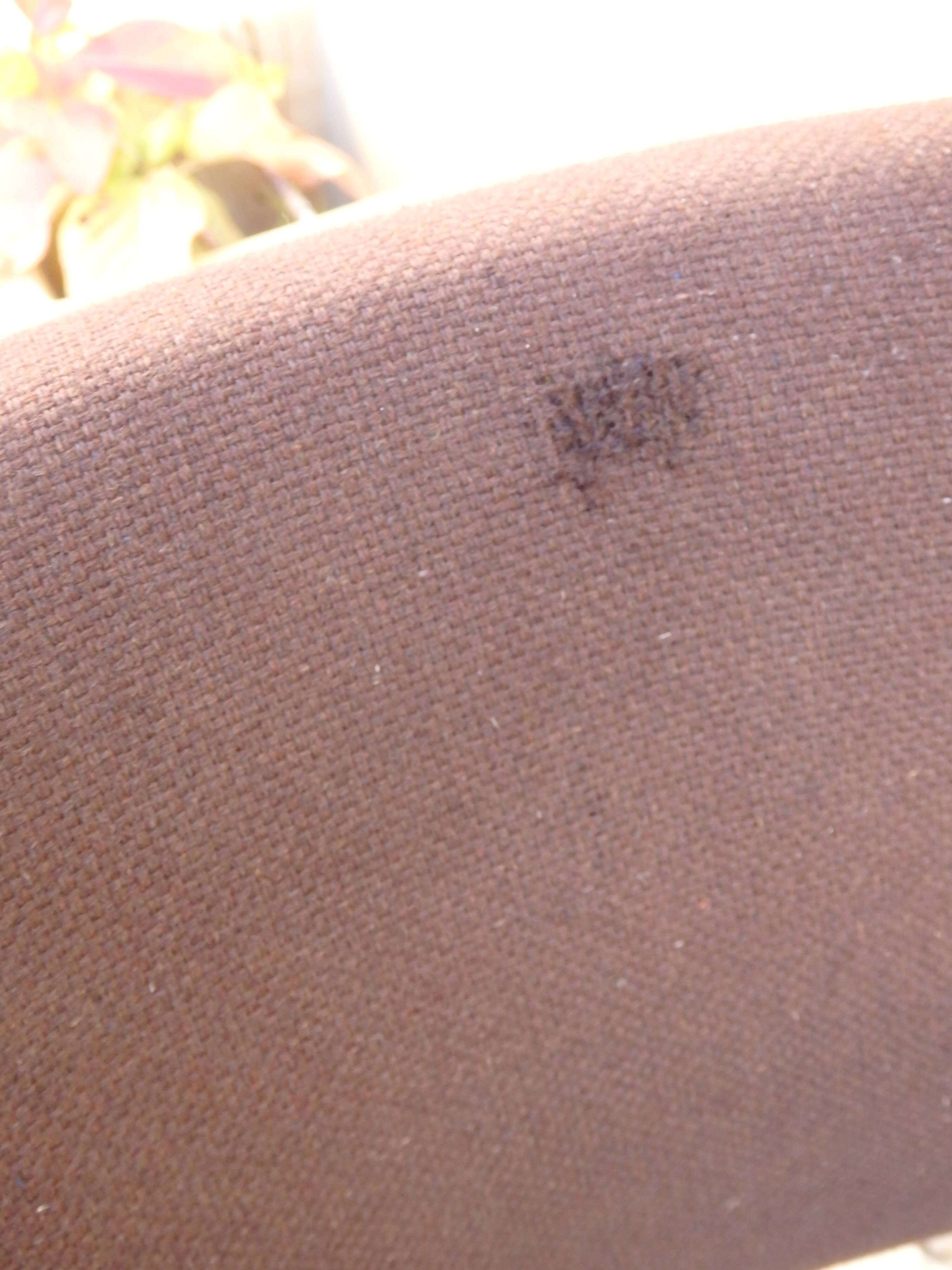 Paire de fauteuils conférence vintage