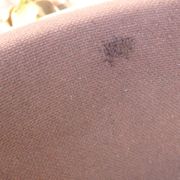 Paire de fauteuils conférence vintage