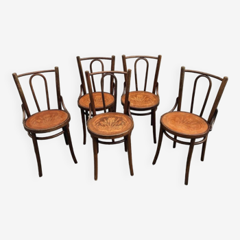 Chaises bistrot en bois courbé dans le style Art nouveau