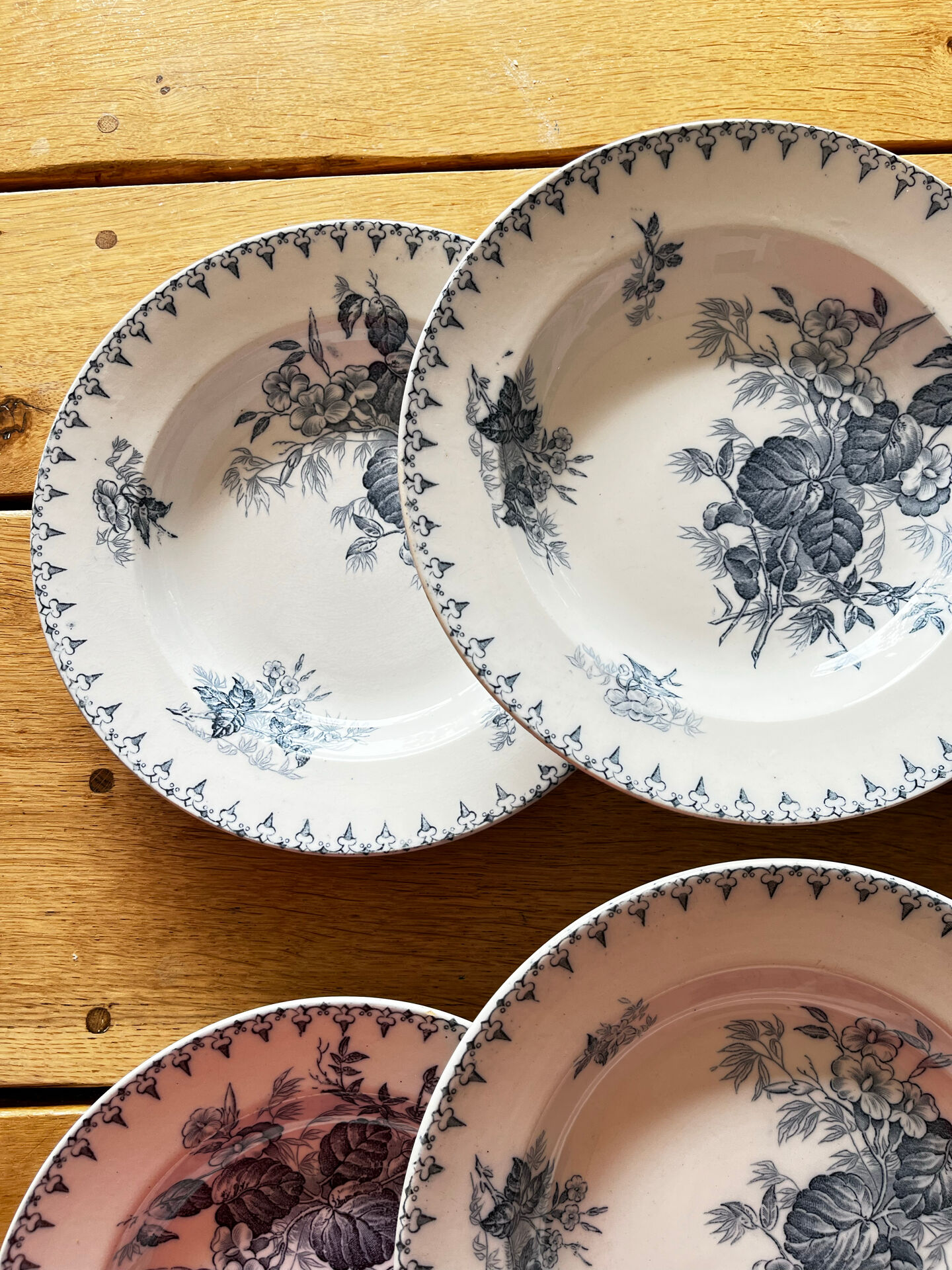 6 assiettes terre de fer 