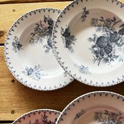 6 assiettes terre de fer 