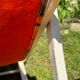 Old vintage flower deckchair