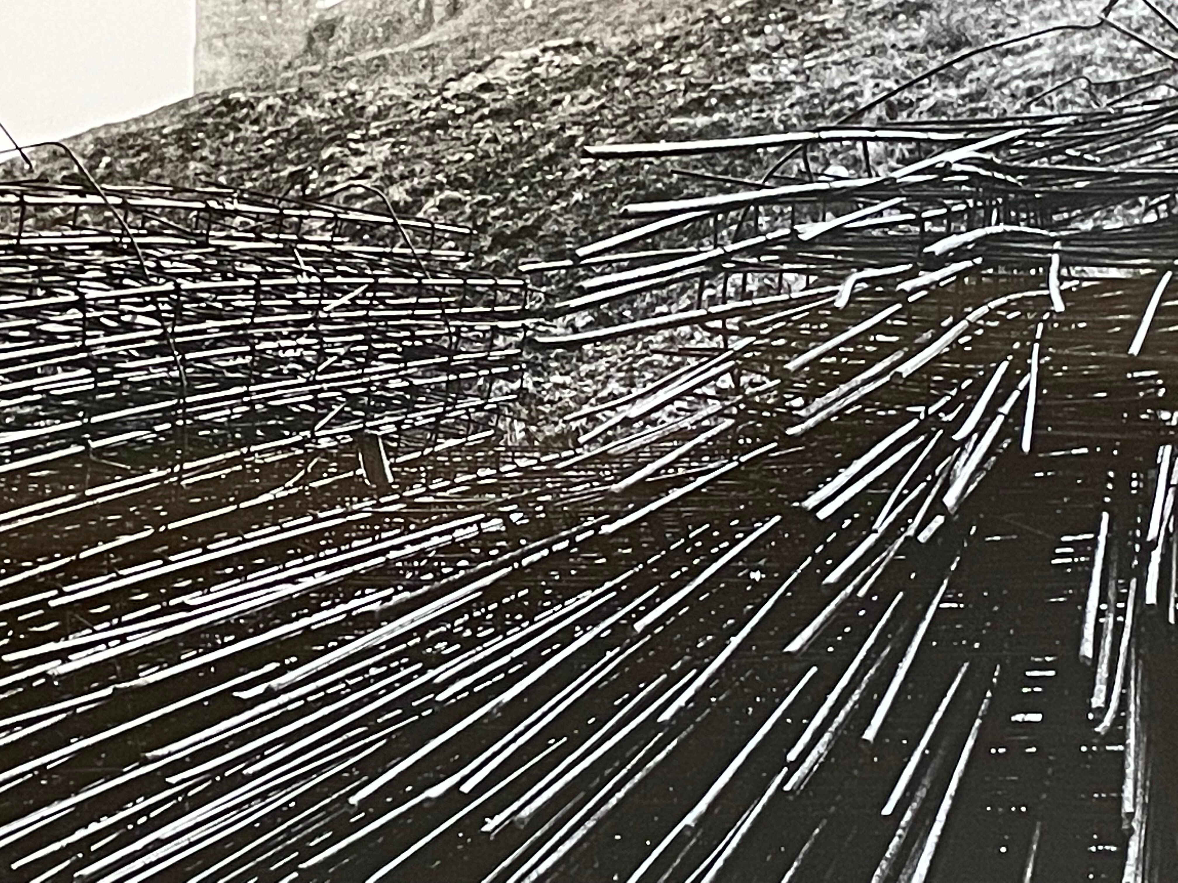 Photograph black and white silver print circa 1970 architecture