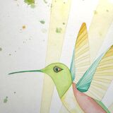 Hummingbird watercolor