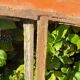 Window L156.2xH119 industrial curved metal glass roof frame