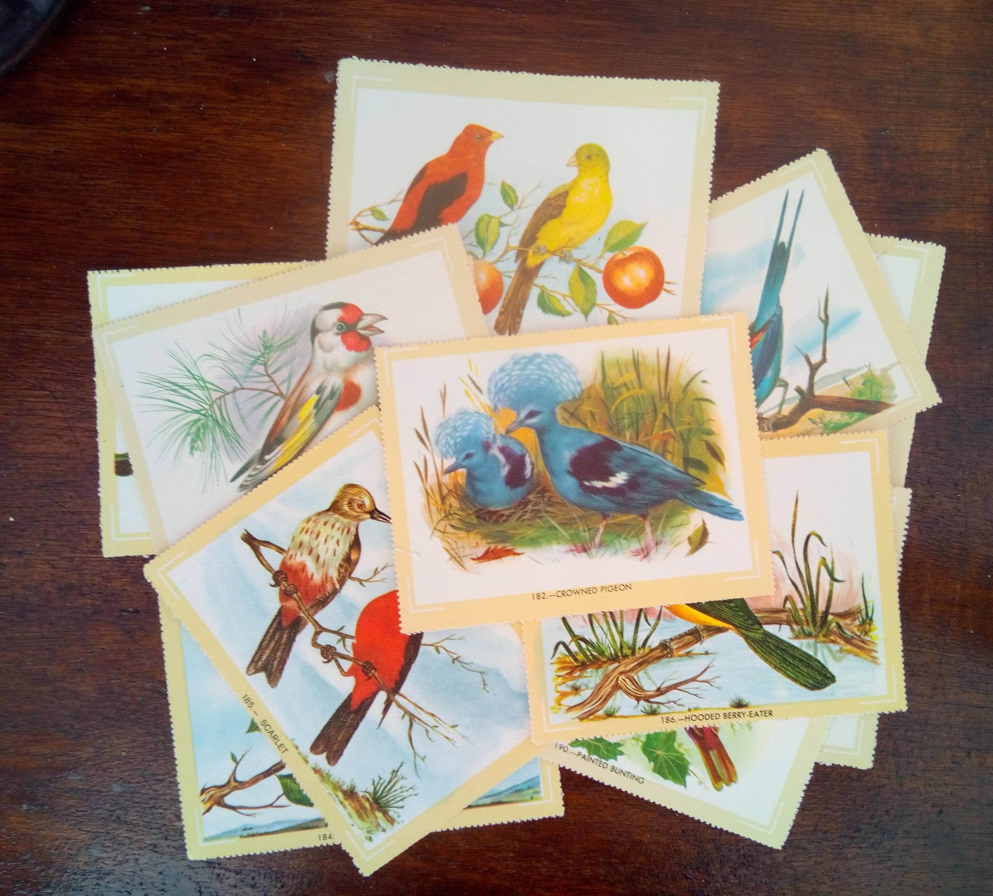 lot of zoological posters, birds, 60s