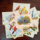 lot of zoological posters, birds, 60s