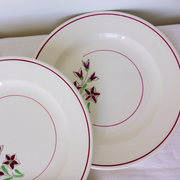 Set of 4 vintage porcelain dinner plates from the Salins factory