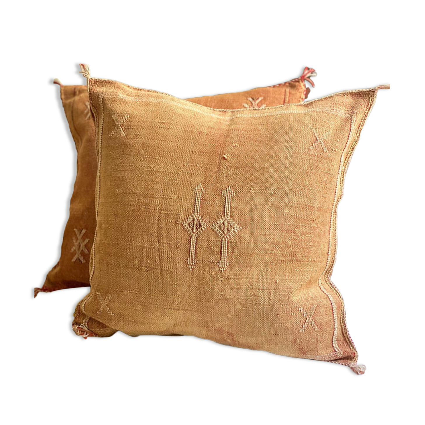 Faded orange cactus silk sabra cushion cover