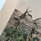 Engraving from 1886 - Insects on the farm - Vintage old lithograph