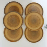 6 stoneware plates